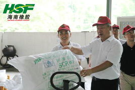 李明泉总裁深入云南海胶调研，指导推进现代化网站建设与数字化转型