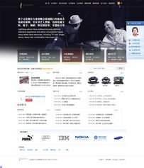 构建成功的网站 超越技术，直抵核心价值